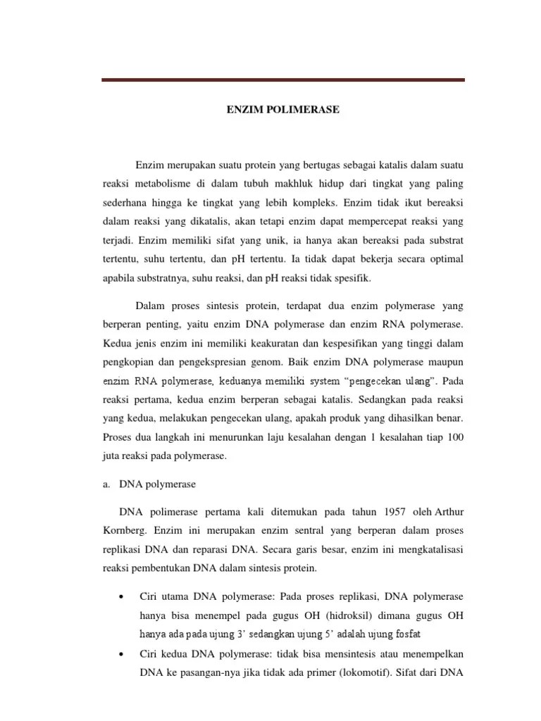 Enzim Polimerase | PDF
