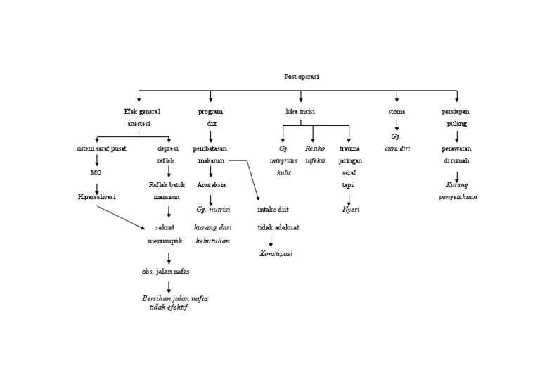 Penjelasan Jalur Khusus PPDB Jakarta