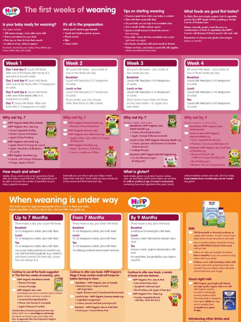 Weaning Chart Lunch Meal