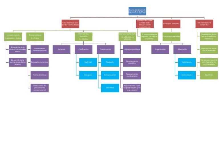 Mapa conceptual. TeorÃ­a del desarrollo cognoscitivo de Piaget