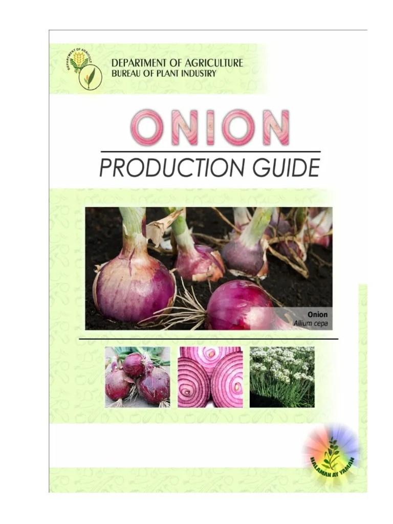 Productionguide Onion PDF Onion Crop Rotation