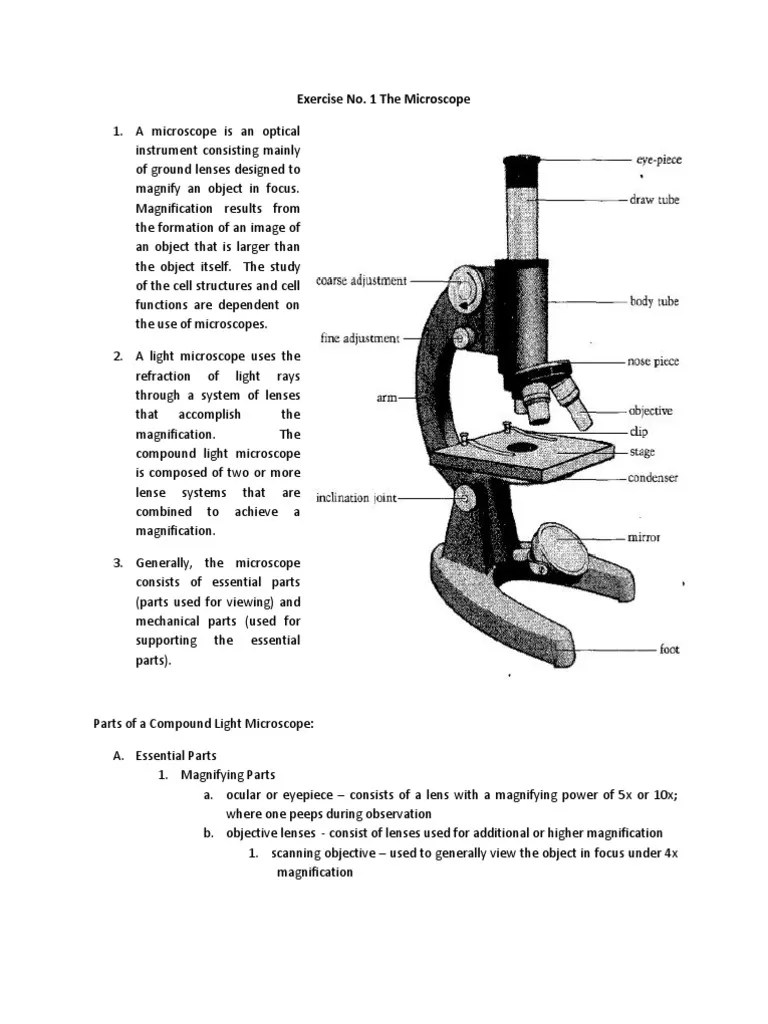 Ex. 1 Parts of A Microscope | PDF | Lens (Optics) | Laboratory Equipment