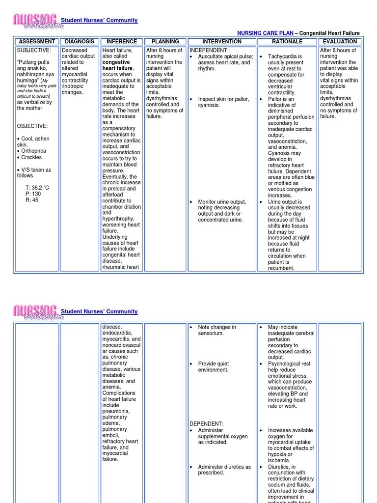 Nursing Care Plan Congestive Heart Failure Heart