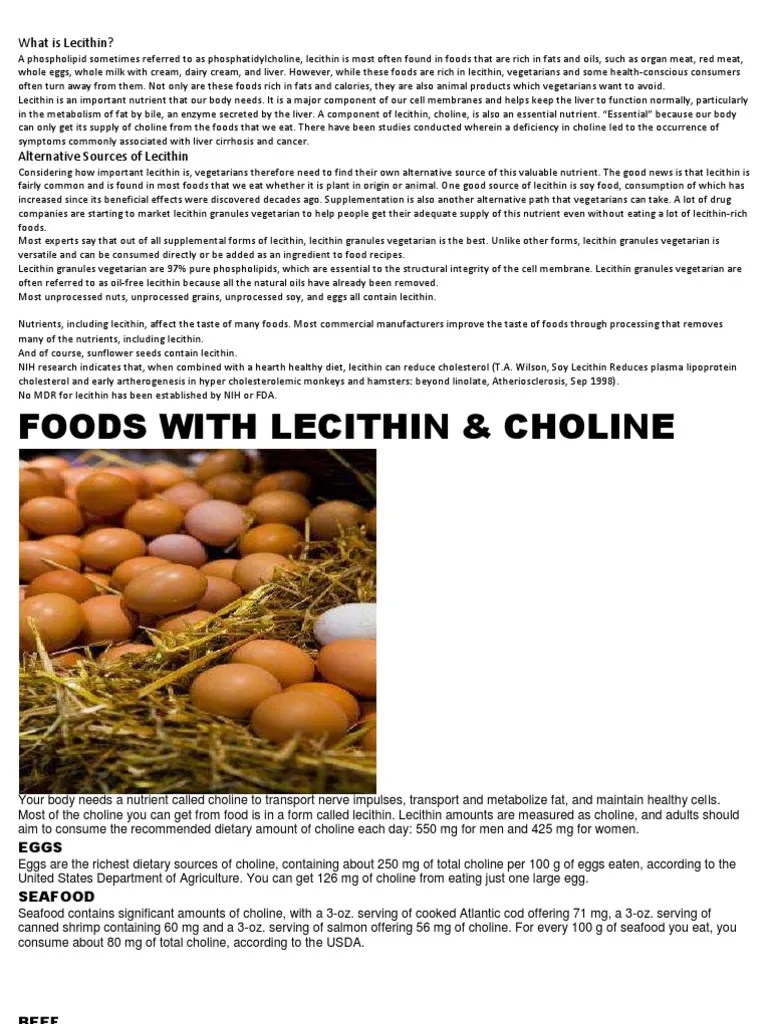 What is Lecithin Egg As Food Vegetarianism