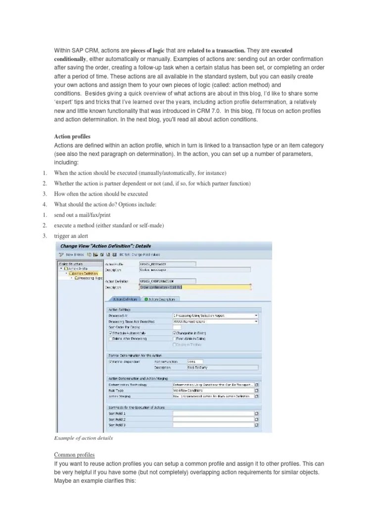 Actions in SAP CRM PDF Program Optimization Customer Relationship