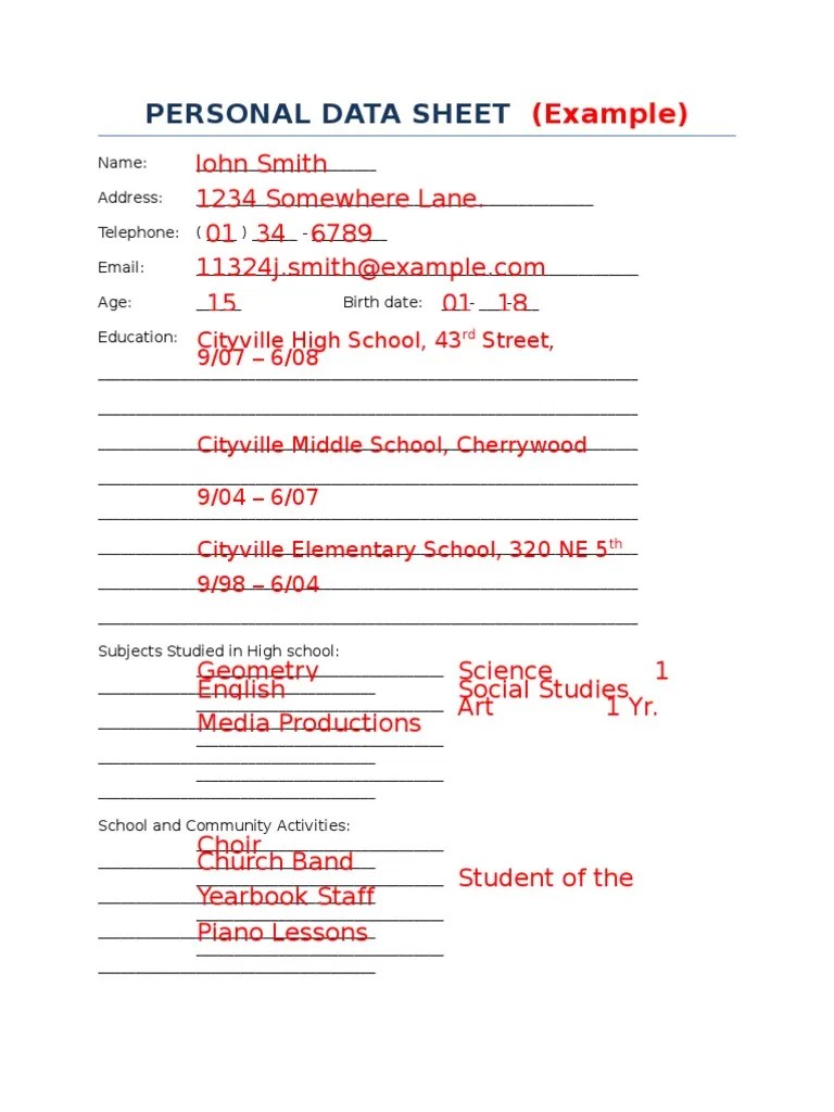 Personal Data Sheet Example