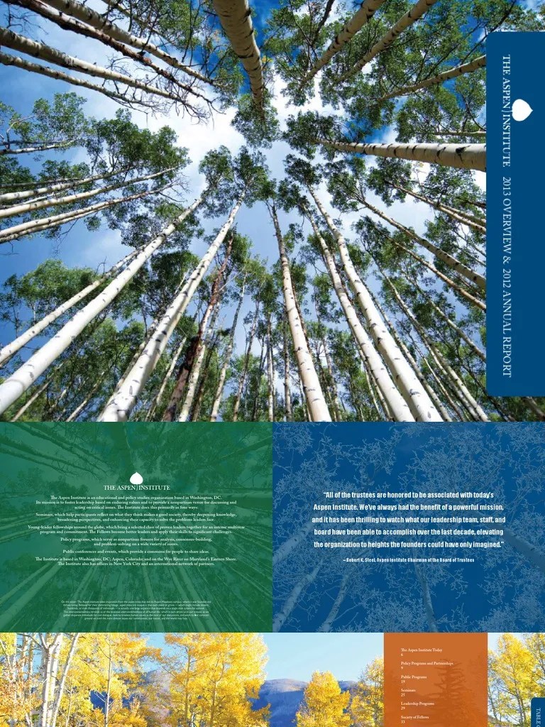 2013 Overview and 2012 Annual Report of The Aspen Institute