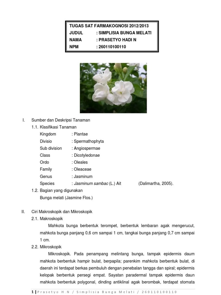 Tren Untuk Ciri Ciri Bunga Melati Merah - Bunga Hias