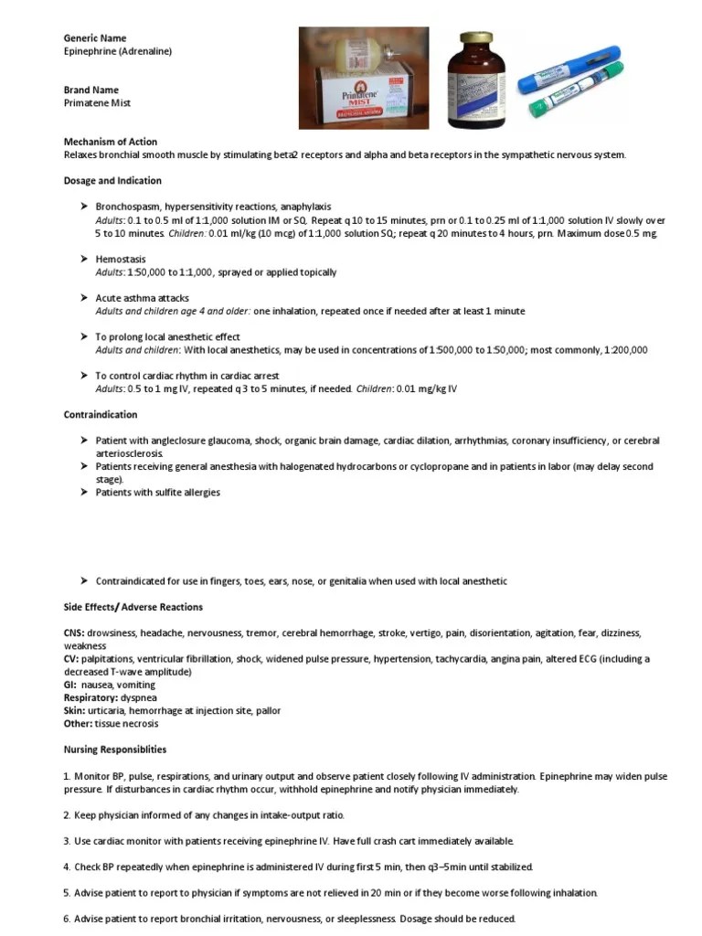 Epinephrine Drug Study PDF Heart Anesthesia