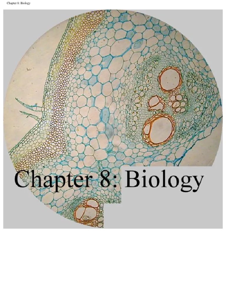 Photography Through A Microscope PDF PDF Microscopy Camera