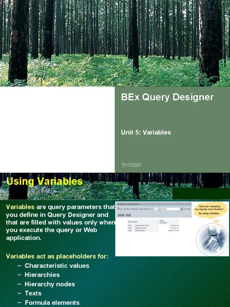 BI L3 BEx Query Designer Unit 5 PDF Variable Science) Variable (Mathematics)
