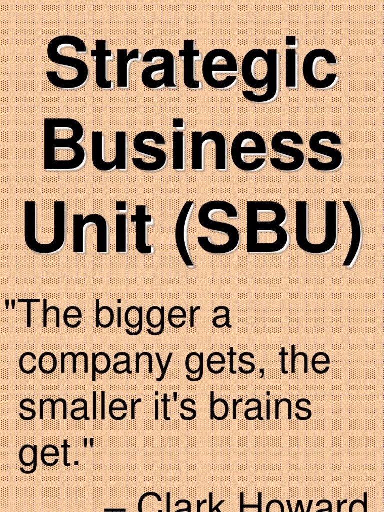 Strategic Business Units (SBU) PDF Competition Business