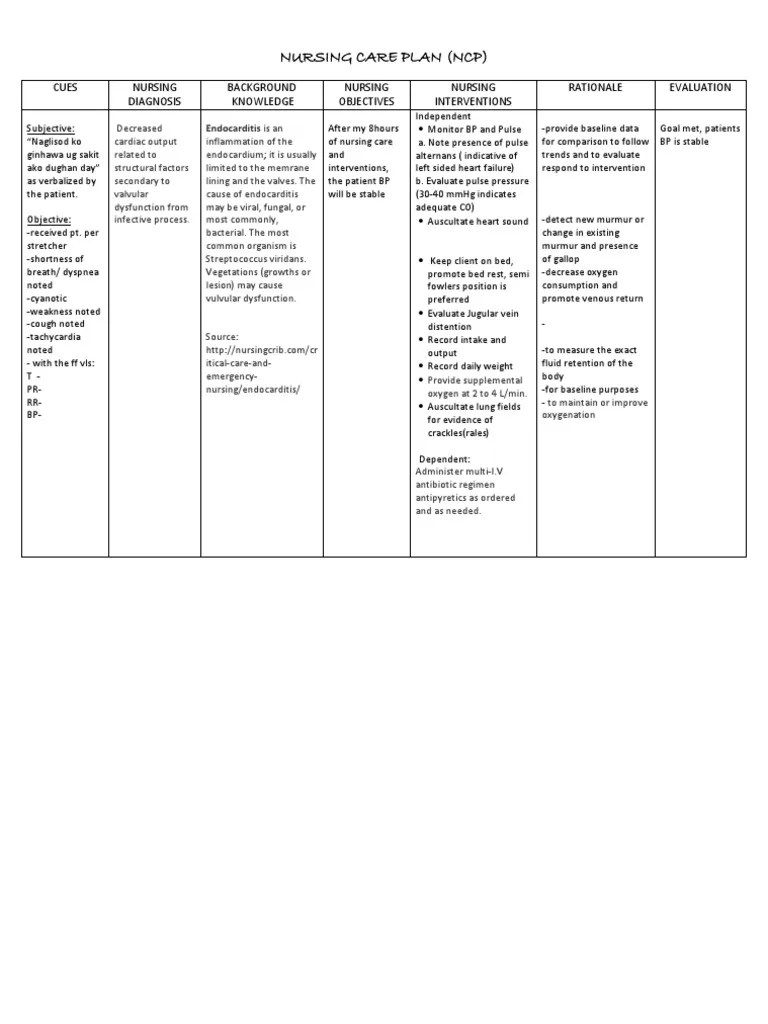 Nursing Care Plan Endocarditis