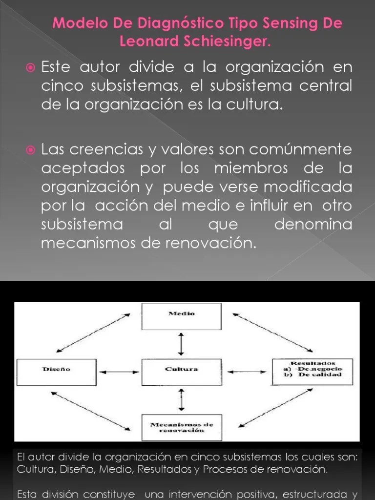 Modelo De Diagnóstico Tipo Sensing De Leonard Schiesinger