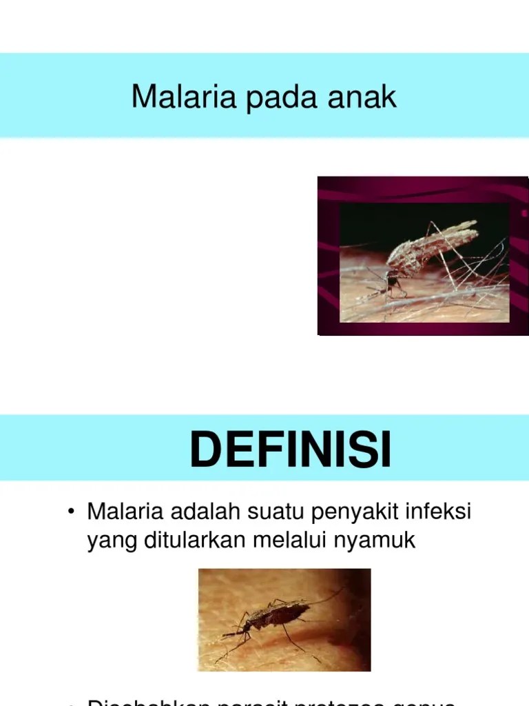 Malaria Pada Anak Revisi