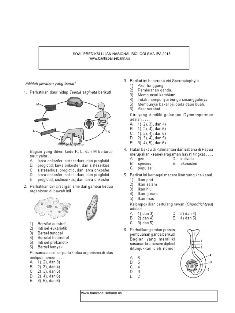 Soal Prediksi Biologi SMA | PDF
