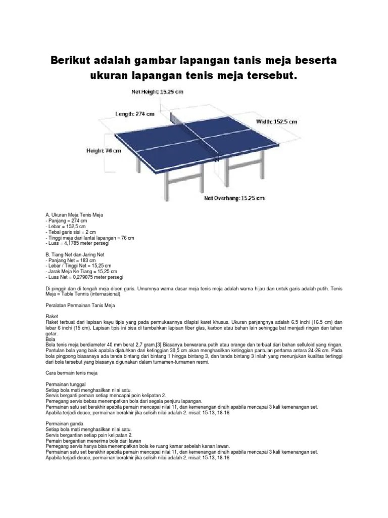 Kumpulan Gambar Bola Pingpong Beserta Ukurannya Firepubg
