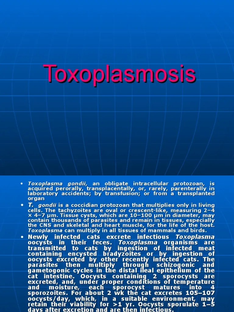 Toxoplasmosis Pregnancy Immunology