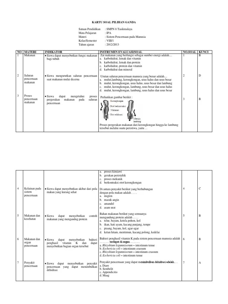 Kartu Soal Pencernaan | PDF