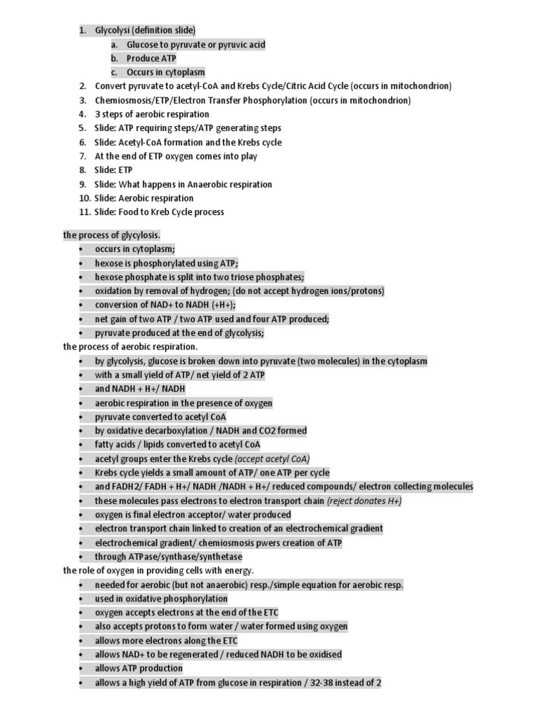 Aerobic Respiration Essay Adenosine Triphosphate Cellular Respiration