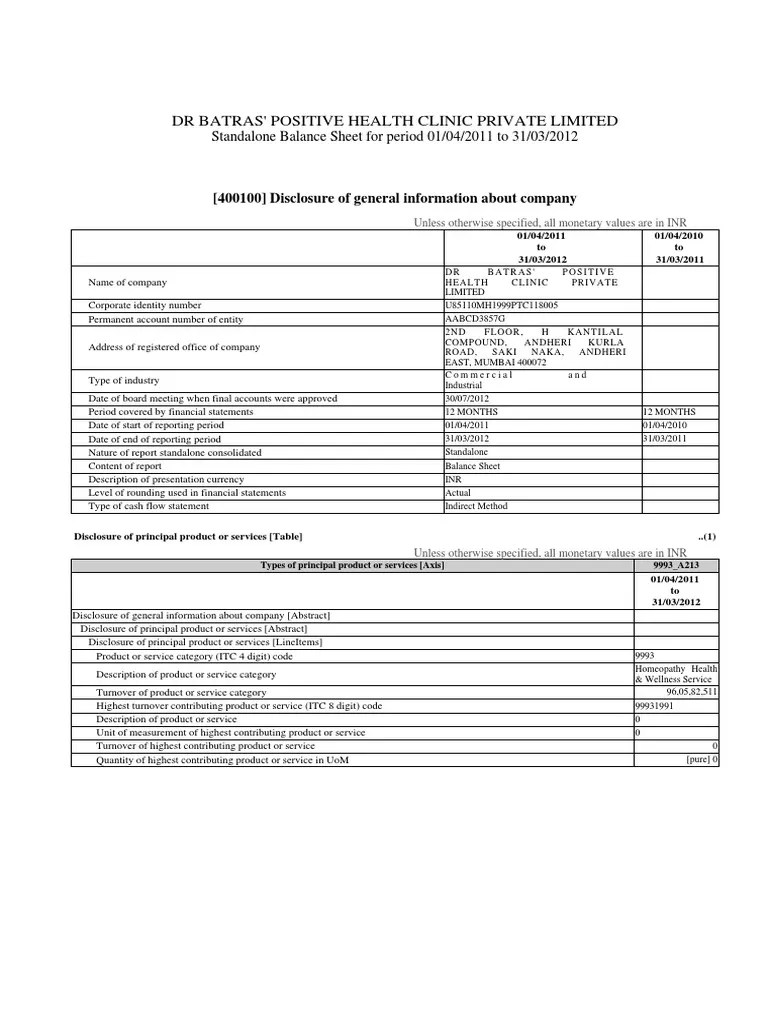 Batras Balance sheet.pdf Financial Audit Auditor's Report