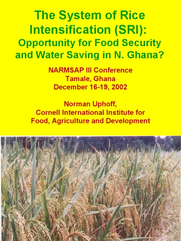 The System of Rice Intensification (SRI) Rice Land Management