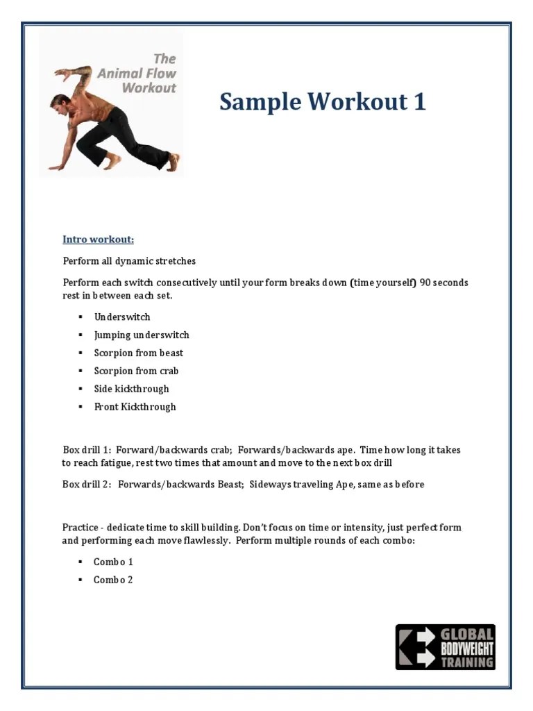 Animal Flow Workout (2011) Sports Leisure
