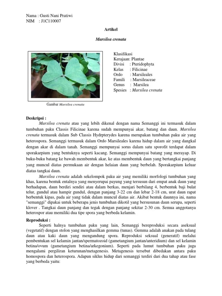 Artikel Marsilea | PDF