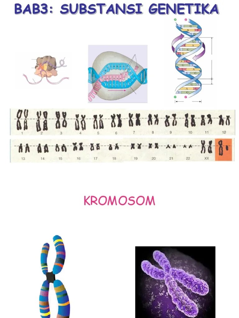 Bab 3 Substansi Perbaikan