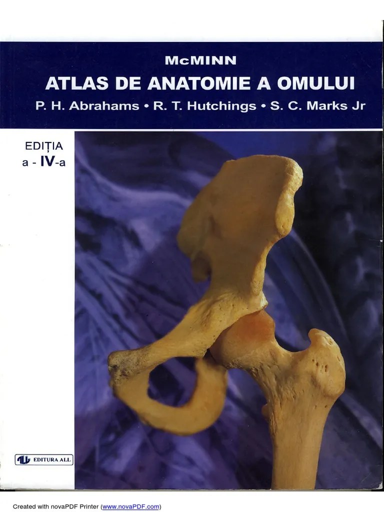 Atlas de Anatomie McMinn