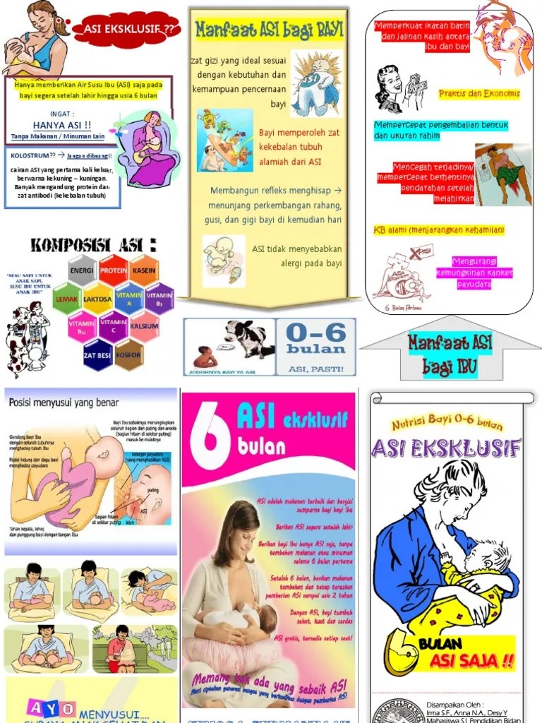 Leaflet Asi Eksklusif Easy Study