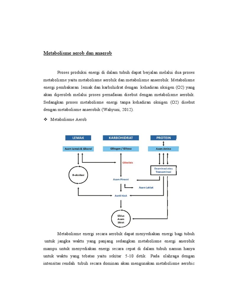 Metabolisme Aerob Dan Anaerob