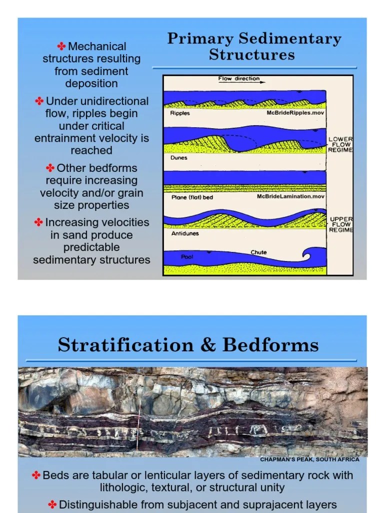 Sed Structures | PDF | Sedimentary Rock | Geology