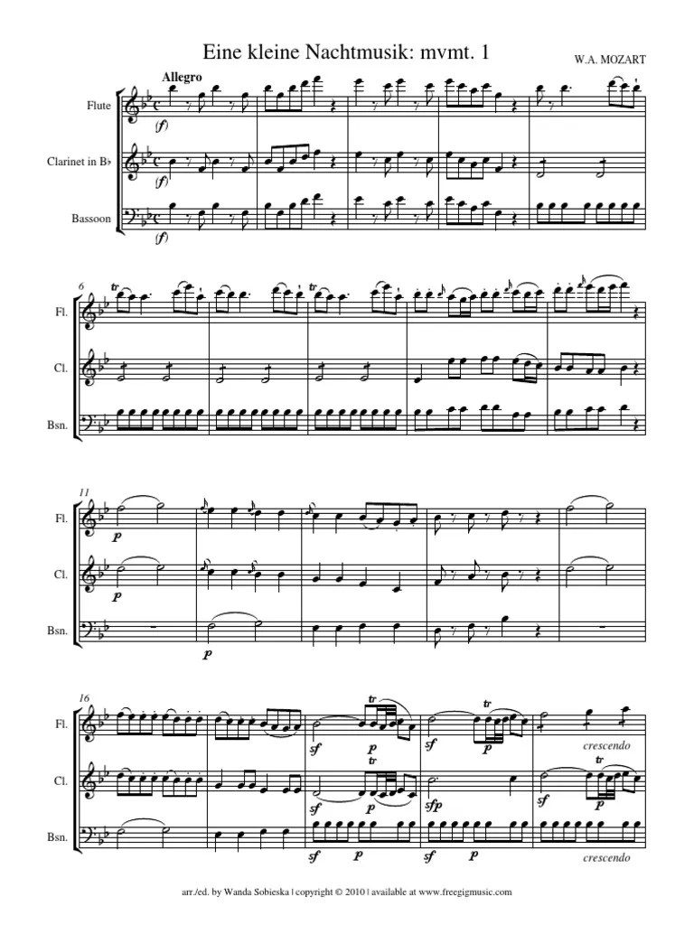 Eine kleine Nachtmusik mvmt. 1 Allegro