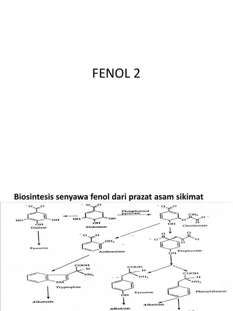 Fenol 2 | PDF