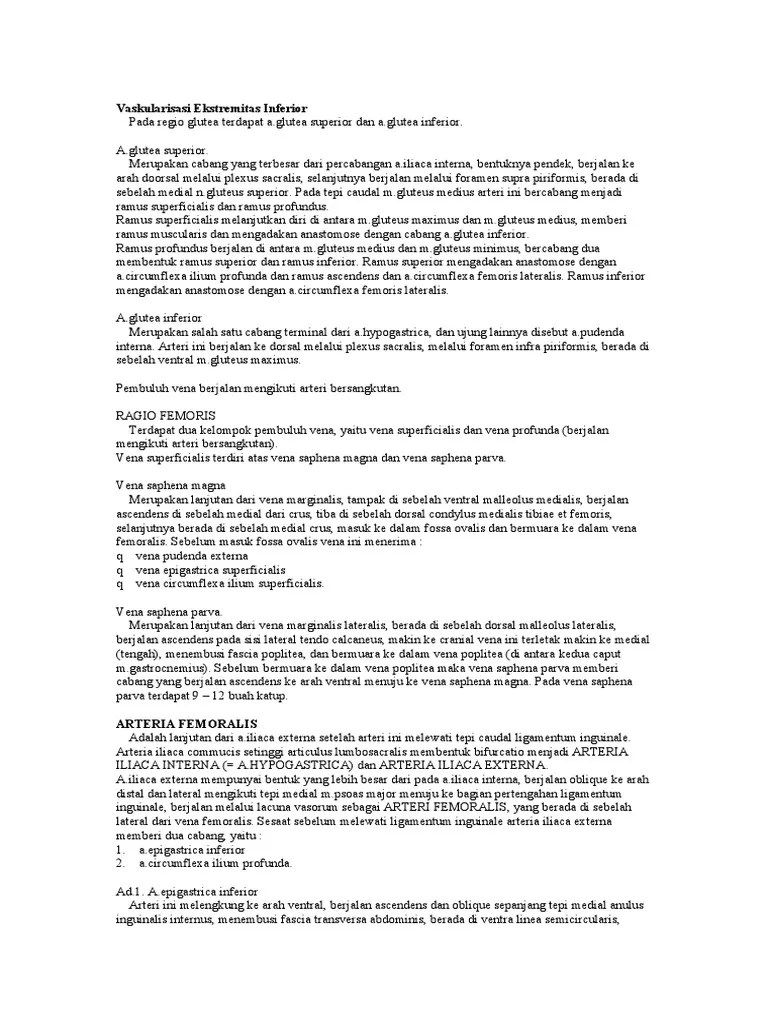 Vaskularisasi Ekstremitas Inferior