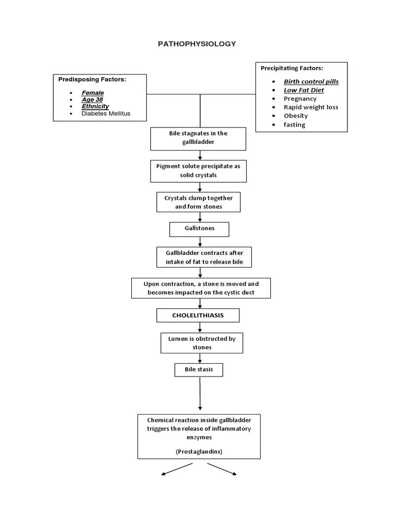 105375378-Pathophysiology-Cholelithiasis | Gallbladder | Rtt