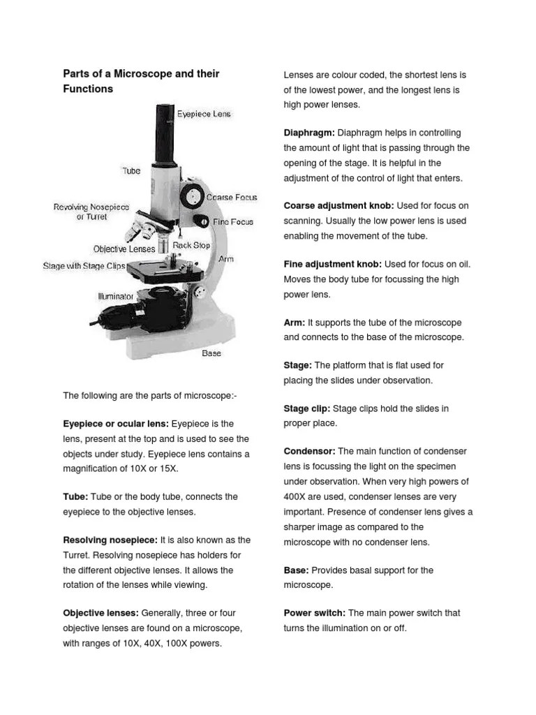 Condenser Lens Microscope Function Micropedia