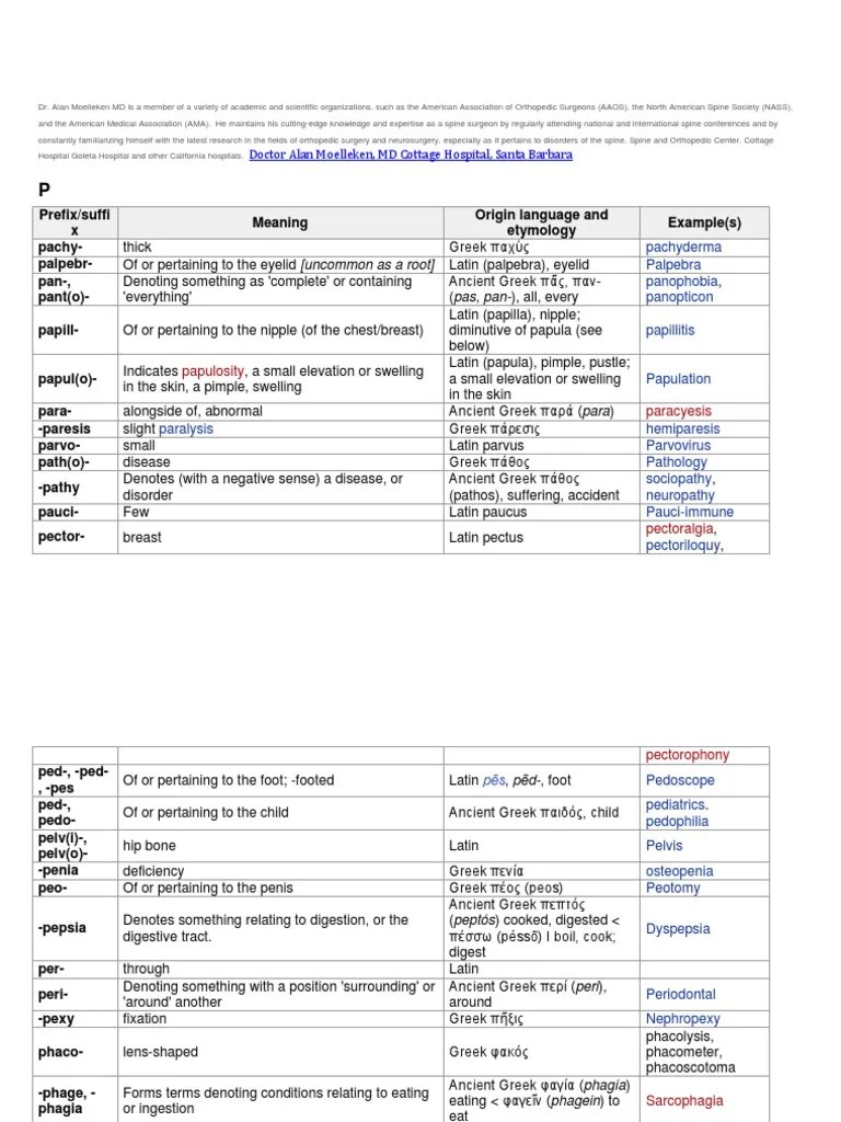 P Medical Prefixes and Suffixes Alan Moelleken MD Spinal Cord