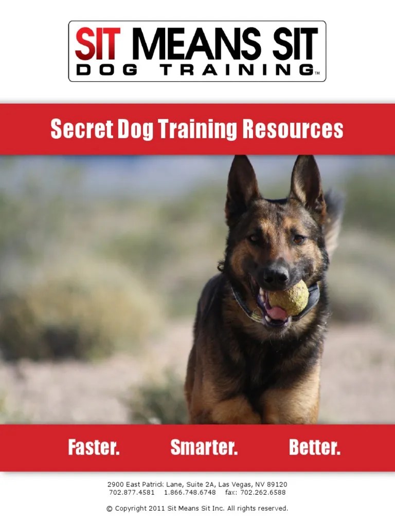 Sit Means Sit Resources Dog Training Obedience Training