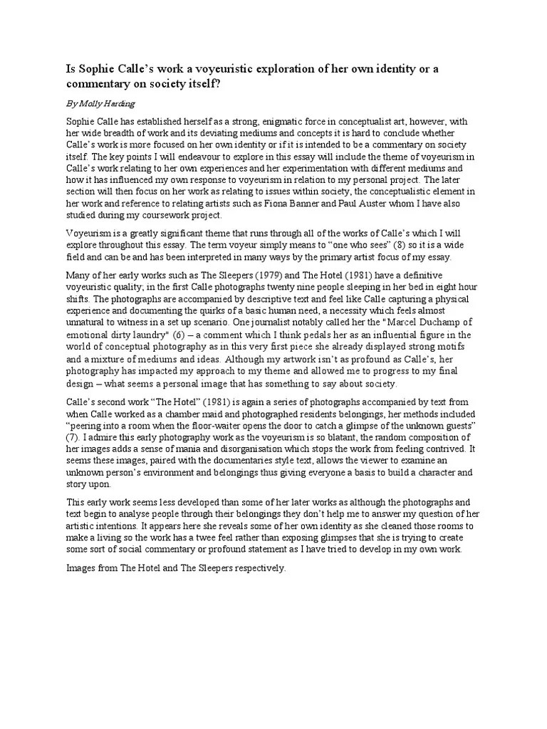 Sophie Calle Essay A2 Fine Art Essays Perception