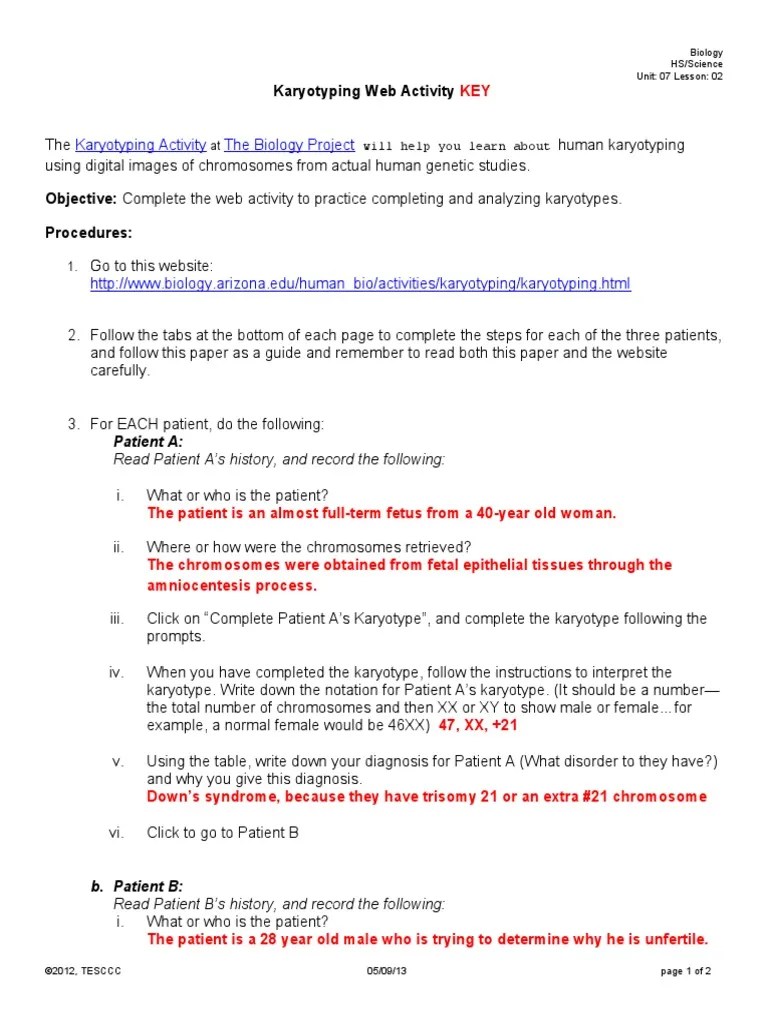 12_SBIO0702H_Karyotyping Web Activity KEY | Karyotype | Anatomy