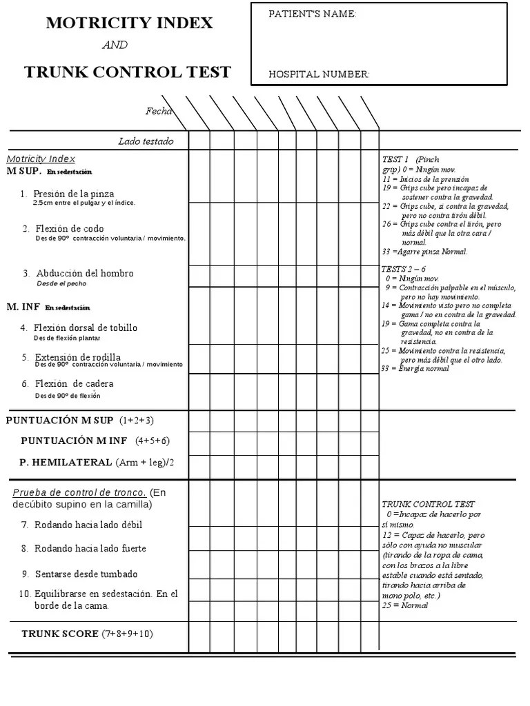 test que evalua el control del tronco con cuatro maniobras. desdem