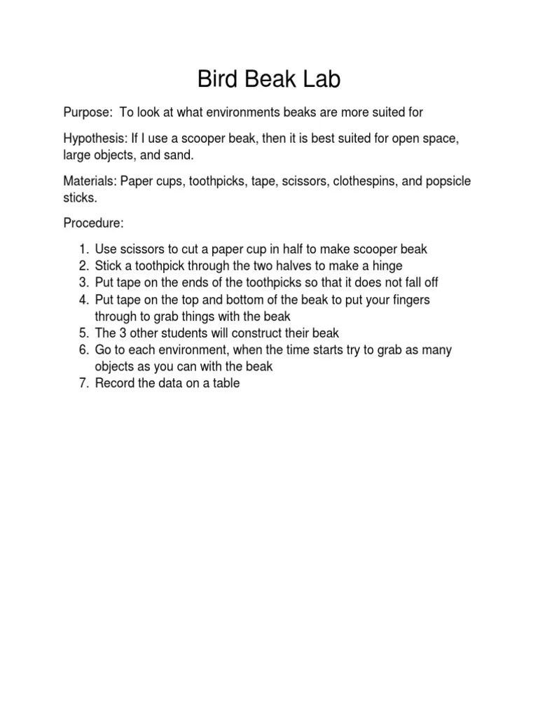 Bird Beak Lab | PDF | Natural Selection | Adaptation