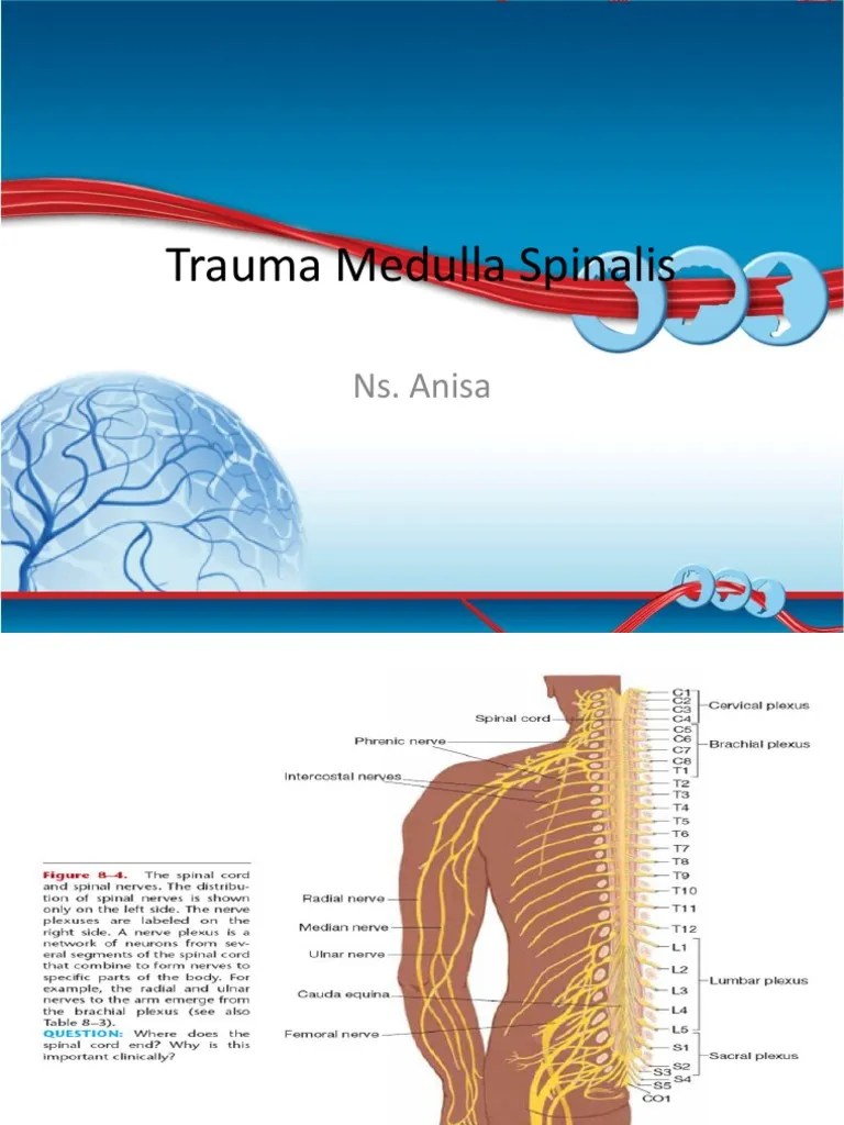 Trauma Medulla Spinalis