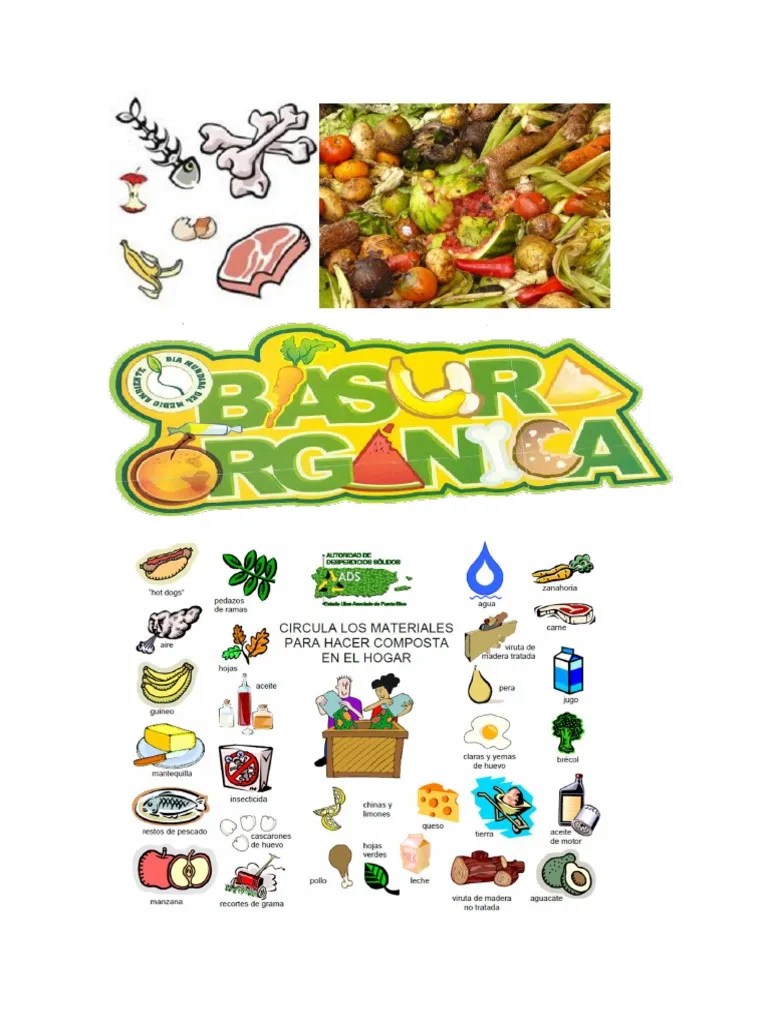 Basura Organica e PDF