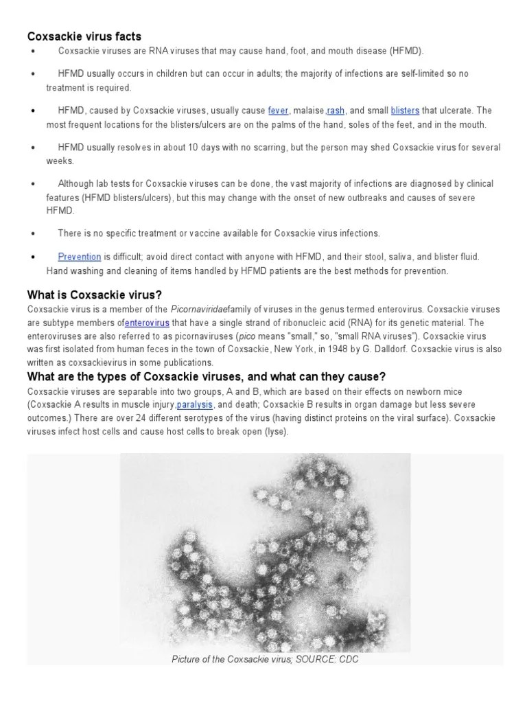 Coxsackie Virus Facts Infection Public Health