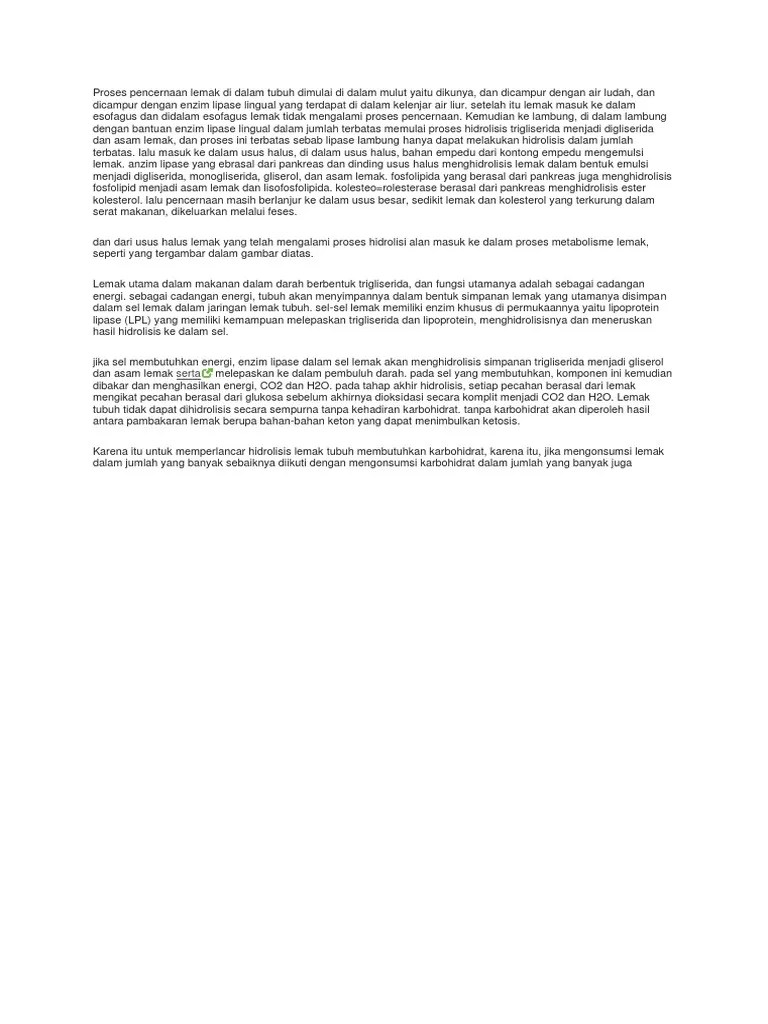 Proses Pencernaan Lemak Di Dalam Tubuh Dimulai Di Dalam Mulut Yaitu Dikunya  | PDF