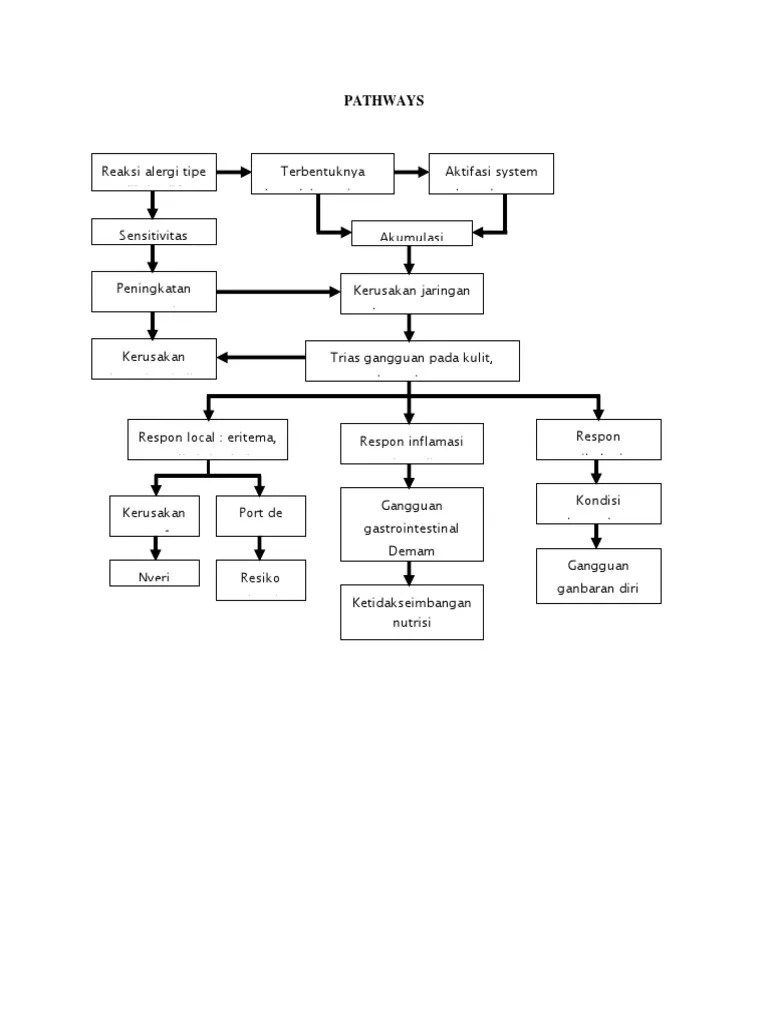 12+ Trend Pathway Kehamilan