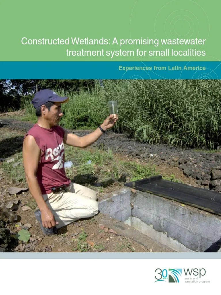 Constructed Wetlands PDF